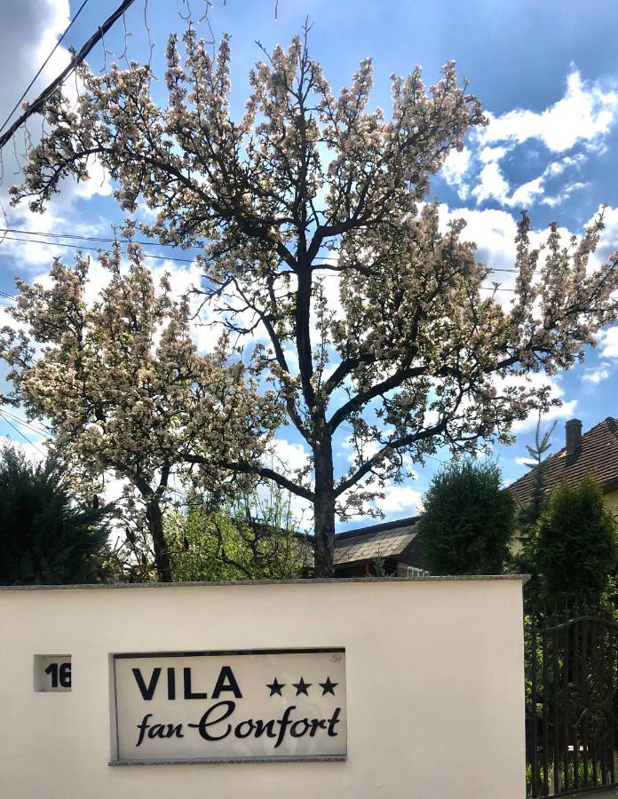 Vila Fan Confort Viseu de Sus Ngoại thất bức ảnh