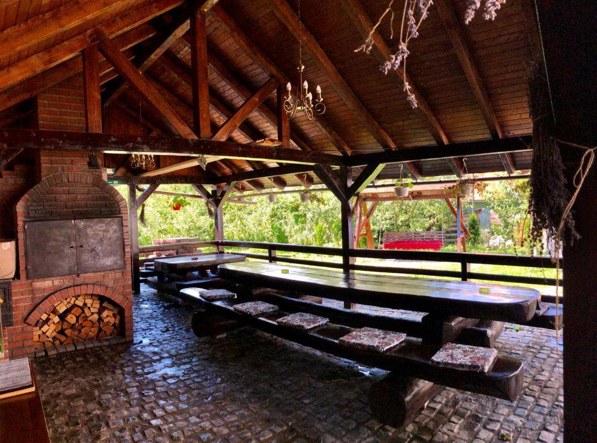 Vila Fan Confort Viseu de Sus Ngoại thất bức ảnh