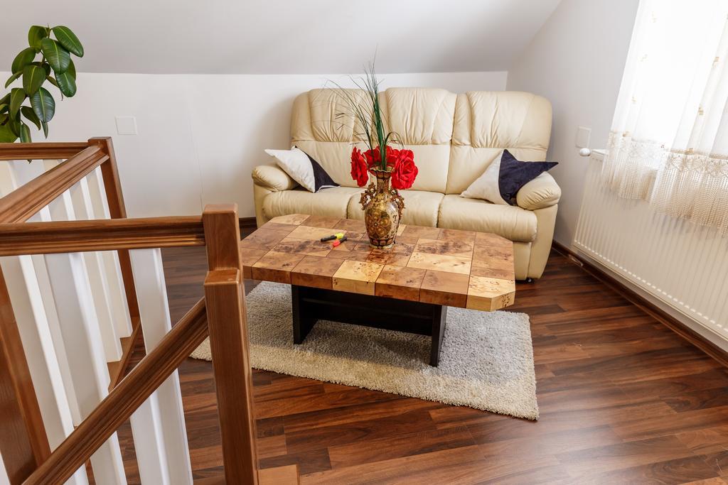 Vila Fan Confort Viseu de Sus Ngoại thất bức ảnh