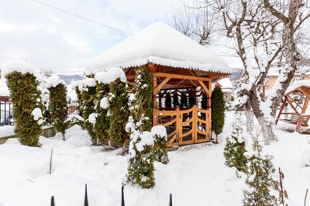 Vila Fan Confort Viseu de Sus Ngoại thất bức ảnh