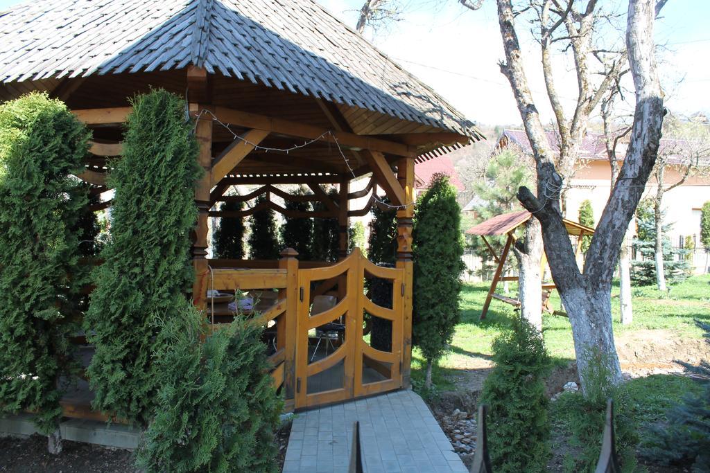 Vila Fan Confort Viseu de Sus Ngoại thất bức ảnh