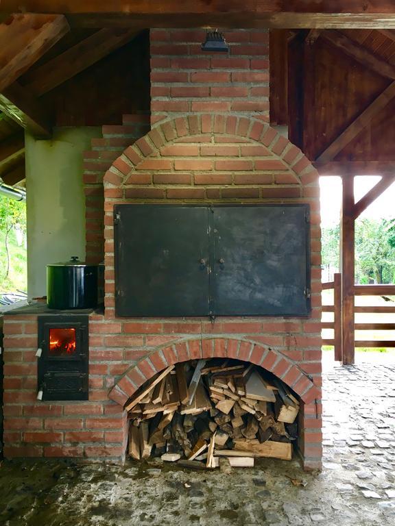 Vila Fan Confort Viseu de Sus Ngoại thất bức ảnh