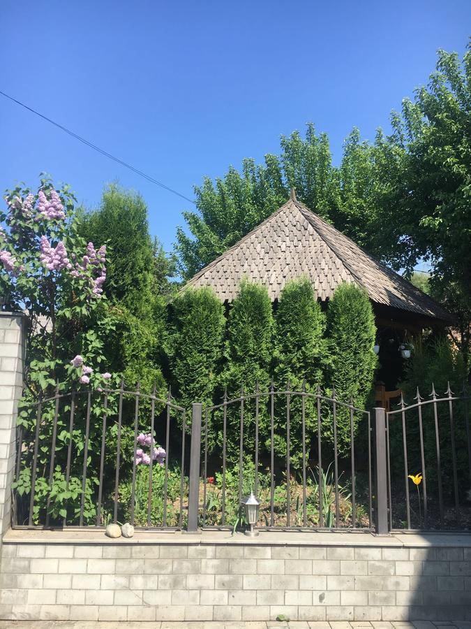 Vila Fan Confort Viseu de Sus Ngoại thất bức ảnh