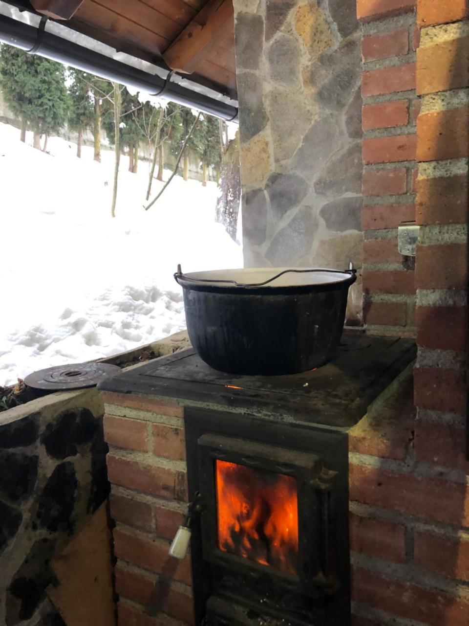 Vila Fan Confort Viseu de Sus Ngoại thất bức ảnh