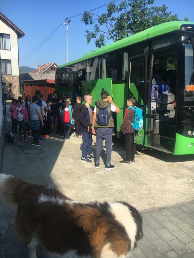 Vila Fan Confort Viseu de Sus Ngoại thất bức ảnh