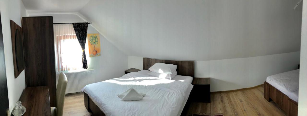 Vila Fan Confort Viseu de Sus Ngoại thất bức ảnh