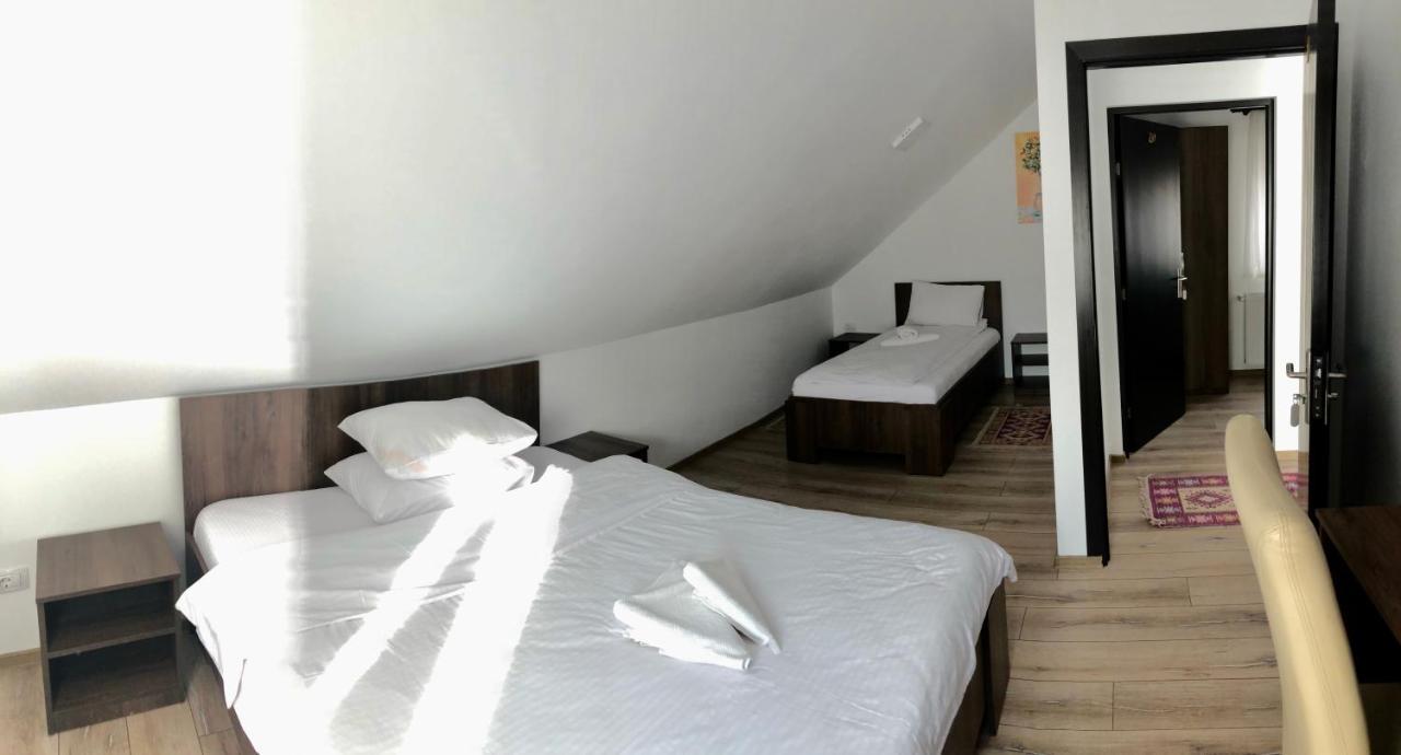 Vila Fan Confort Viseu de Sus Ngoại thất bức ảnh